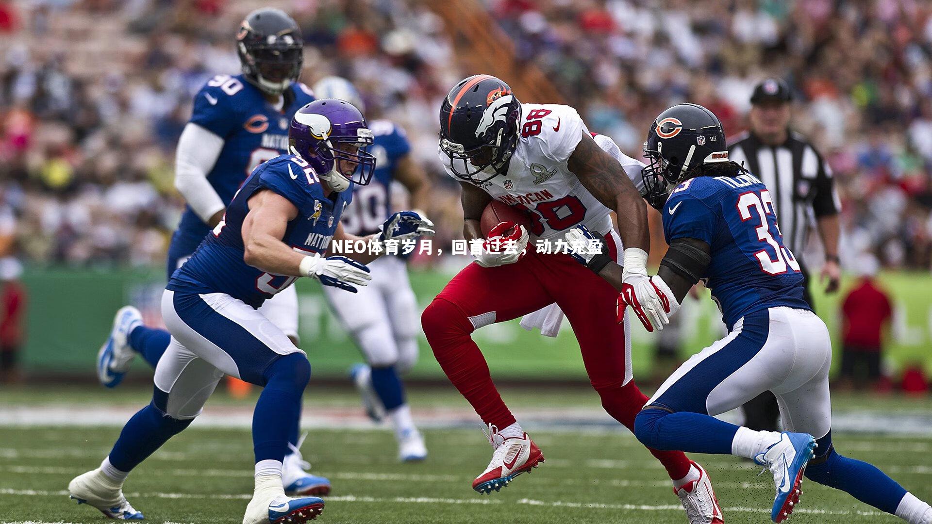 NEO体育岁月,回首过去,动力充盈